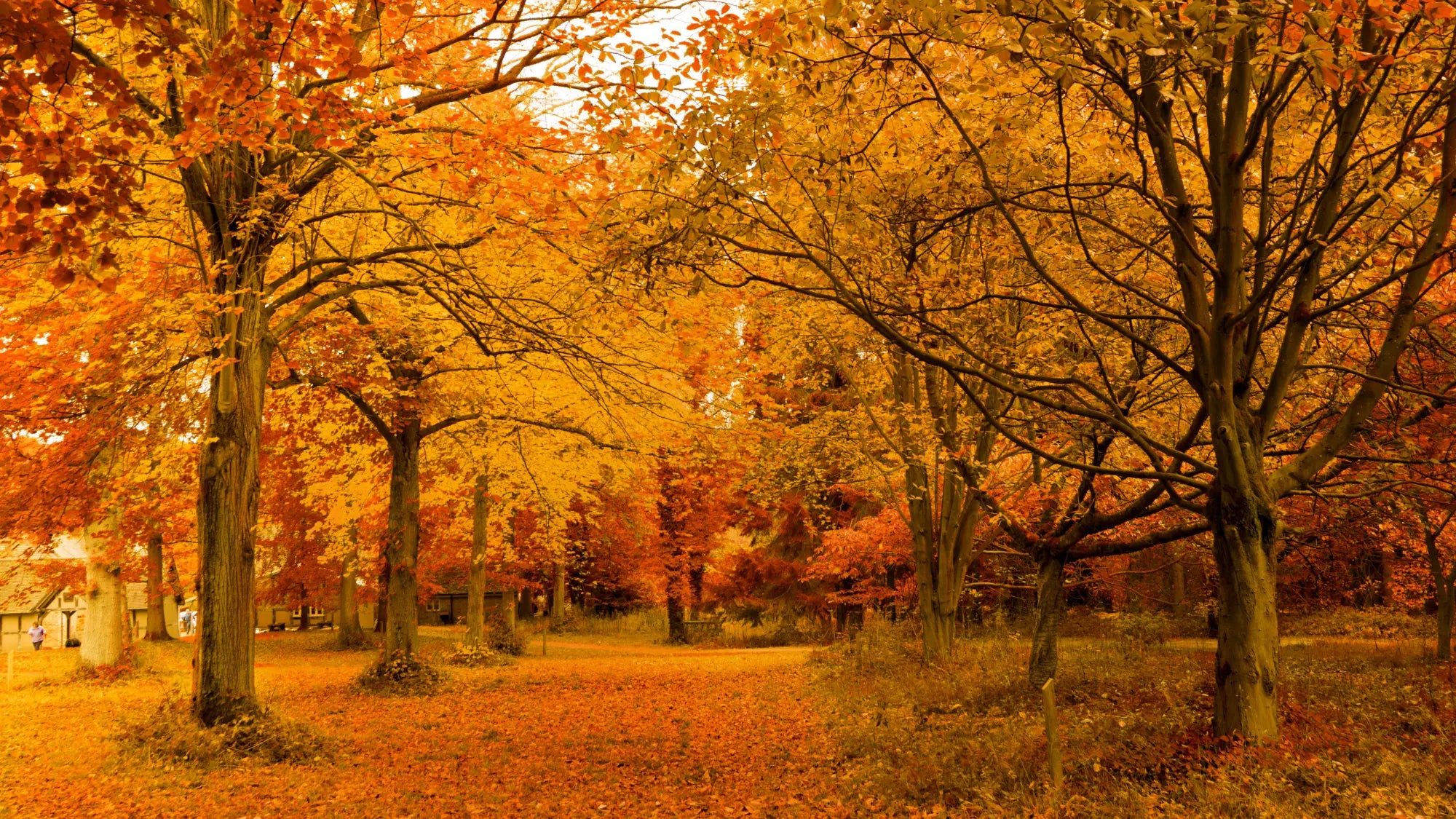 Niezbędnik jesienny 2022